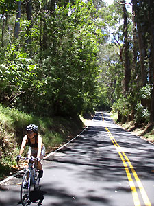 d0023725_412091.jpg