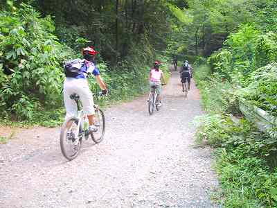 c0031126_2185415.jpg