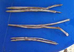 f0039934_23484100.jpg