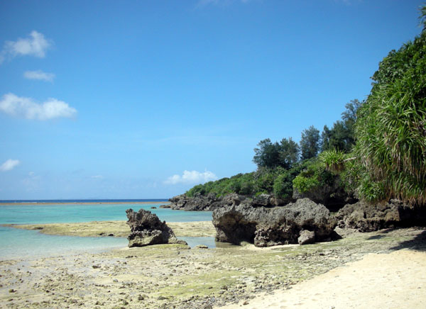 f0175934_21173734.jpg