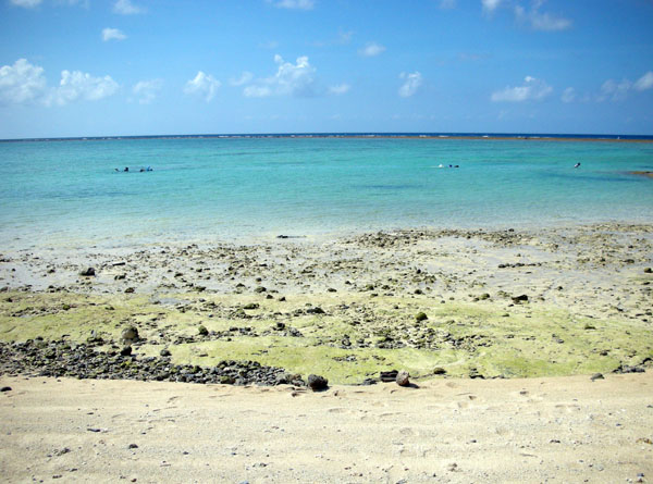 f0175934_21234653.jpg