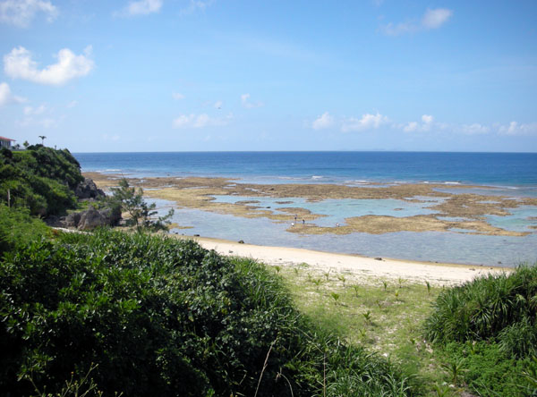 f0175934_21345920.jpg
