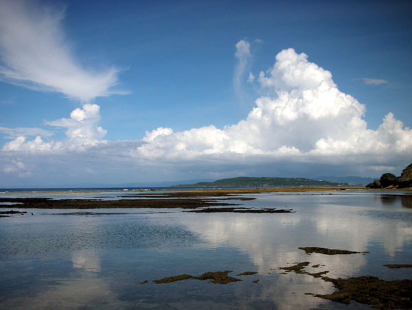 f0175934_21361445.jpg