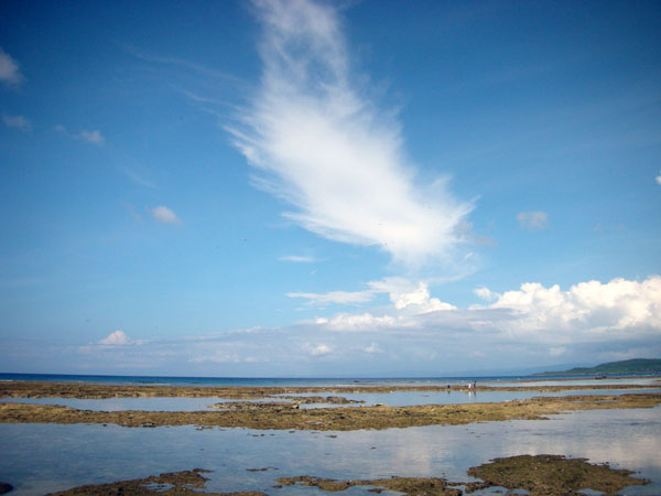 f0175934_21474045.jpg