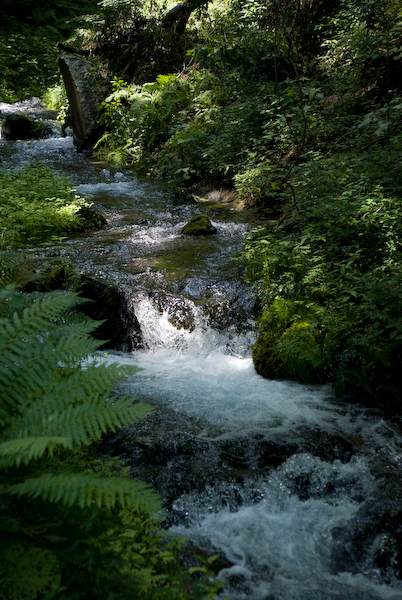 c0120439_17275865.jpg