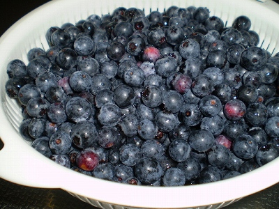 a0109742_224842100.jpg