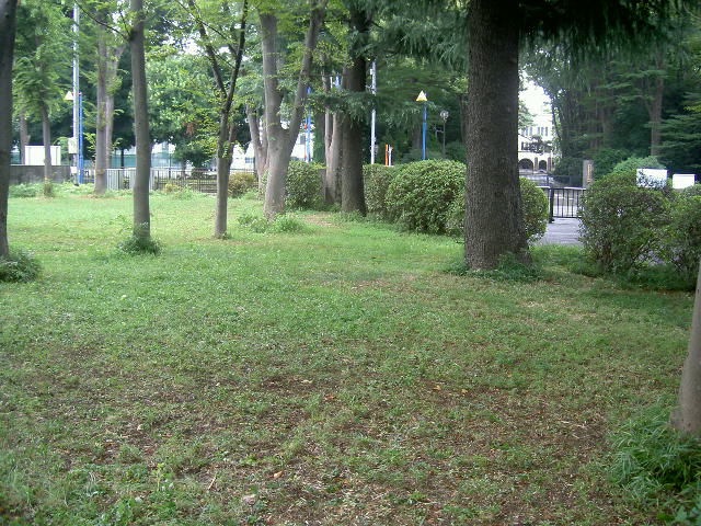 b0082951_1752938.jpg