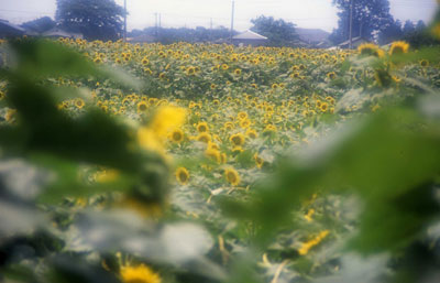 b0132755_22574146.jpg