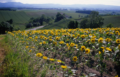 b0132755_22581870.jpg
