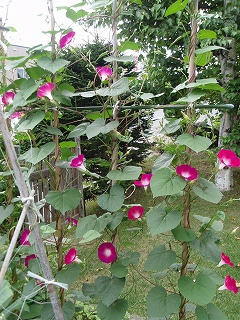 e0004756_22111439.jpg