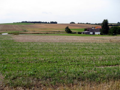a0073357_19253894.jpg
