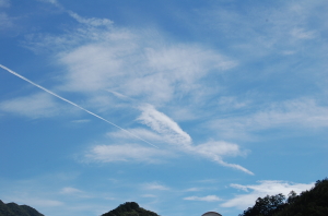 e0108657_125443100.jpg
