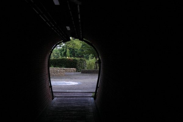 d0152960_2139215.jpg