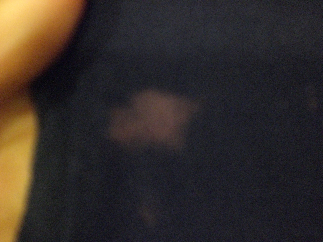 a0108963_20475870.jpg