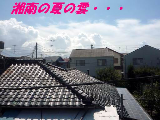 a0104464_10314147.jpg