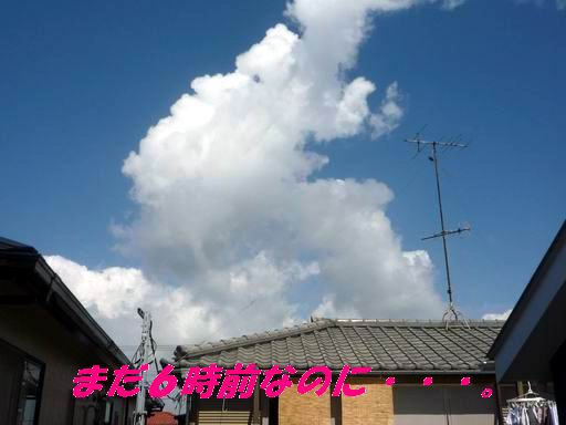 a0104464_10321941.jpg