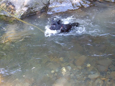 e0002466_21741100.jpg
