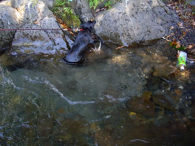 e0002466_218578.jpg
