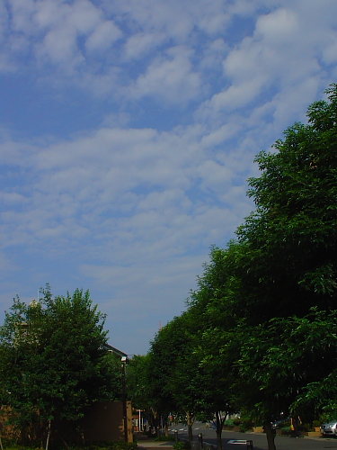 f0166066_23274028.jpg