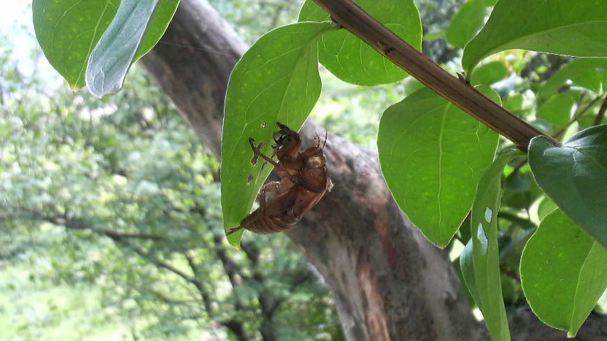 f0138073_17312845.jpg