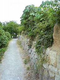 f0016981_2024249.jpg