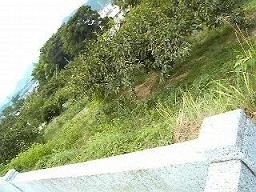 f0016981_2025850.jpg
