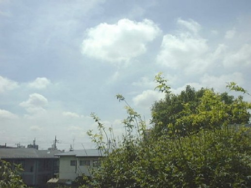 f0039281_20393257.jpg
