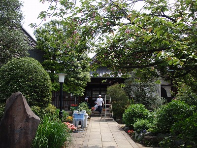 c0105785_13243018.jpg