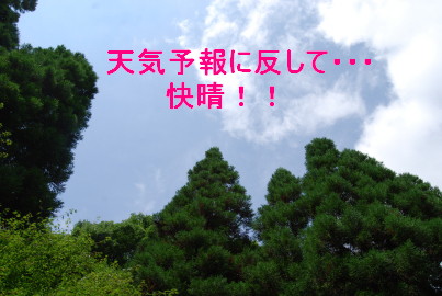 c0092787_822217.jpg