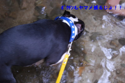 c0092787_8231752.jpg