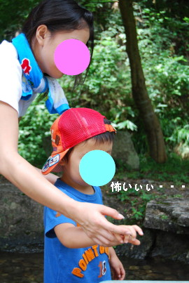 c0092787_823462.jpg