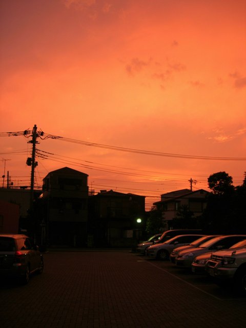 a0045688_0505876.jpg