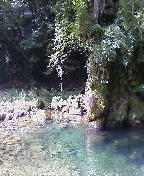 c0052892_021338.jpg