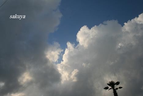 e0122194_2212724.jpg