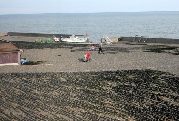 d0117900_15485434.jpg