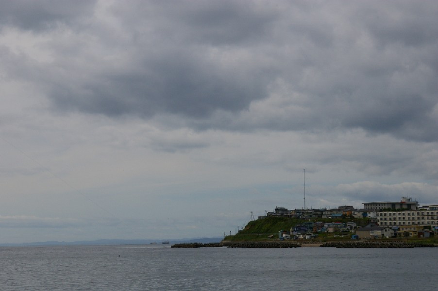d0124100_17503085.jpg