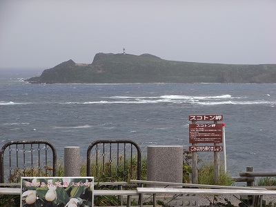 f0157901_222156.jpg