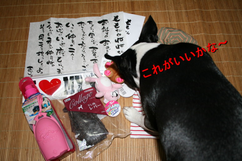 d0070702_8544874.jpg