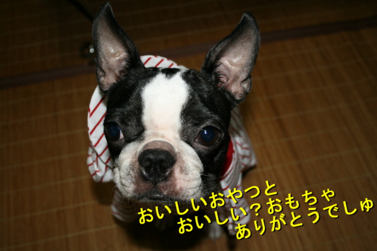 d0070702_8585912.jpg