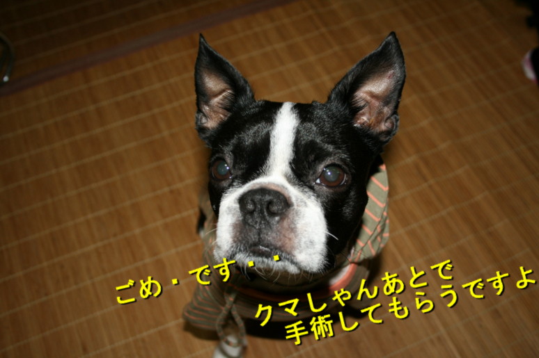 d0070702_8591411.jpg