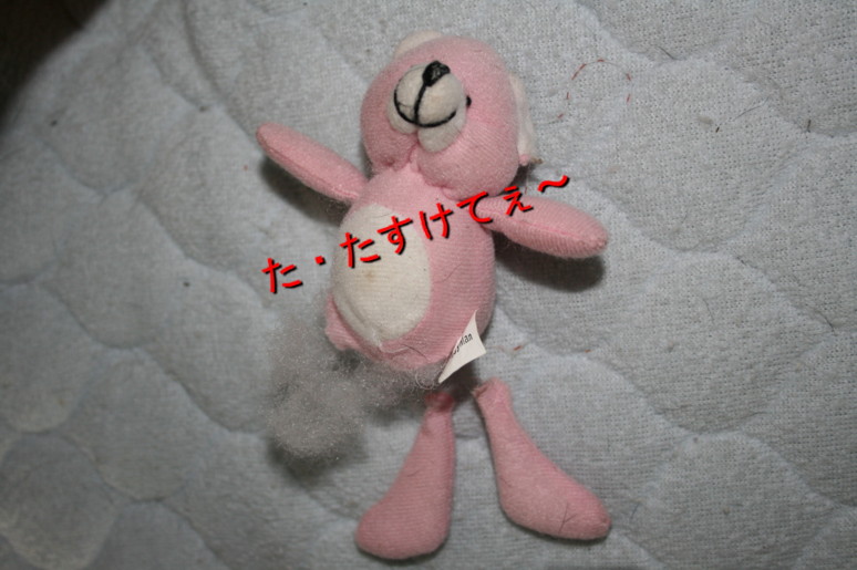 d0070702_902654.jpg