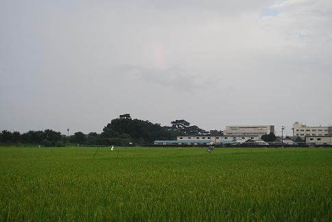 b0108204_231722.jpg