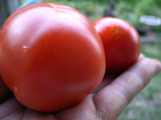 f0135908_2153793.jpg