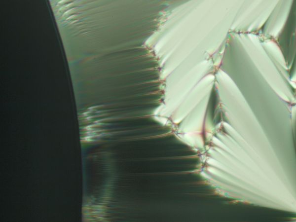 c0164709_2032407.jpg