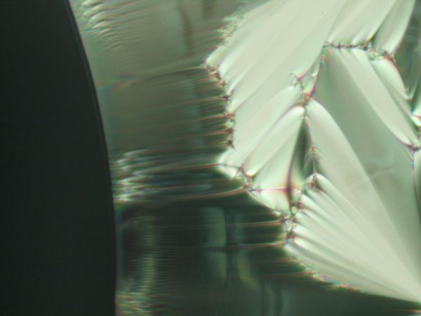 c0164709_20331499.jpg