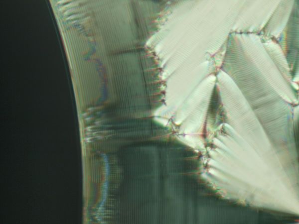 c0164709_20355567.jpg