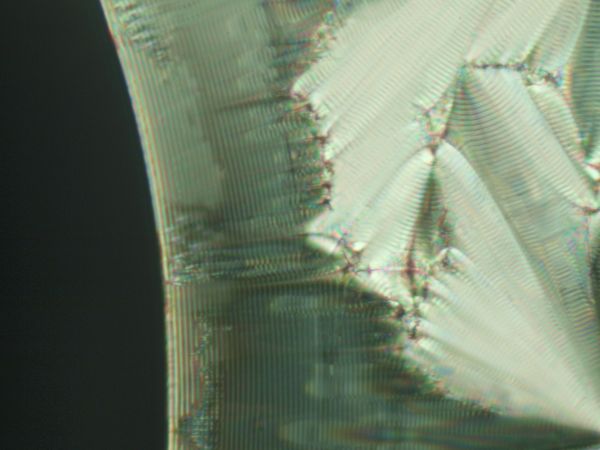 c0164709_20365234.jpg