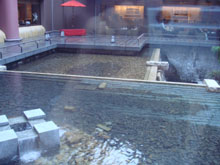 e0015010_3131186.jpg