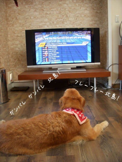 c0017311_13235034.jpg
