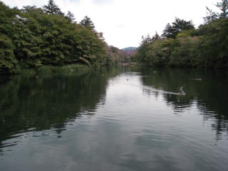 e0136511_414287.jpg